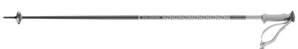 Sjezdové hole Salomon Polar Grey Violet L47631200 25/26