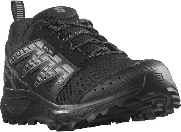 Trailové běžecké boty Salomon WANDER GTX W Gore-Tex Black/Plum Kitten/Gull L47149500 25/26