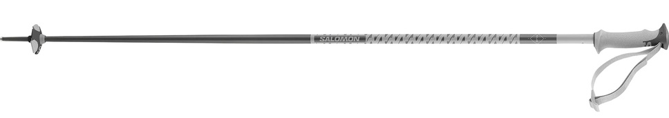 Sjezdové hole Salomon Polar Grey Violet L47631200 25/26